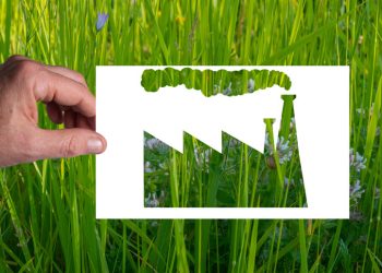 7 domande per capire cosa è il greenwashing