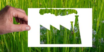 7 domande per capire cosa è il greenwashing