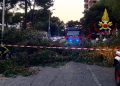 Paura a Cagliari, albero cade sopra due auto: una donna ferita