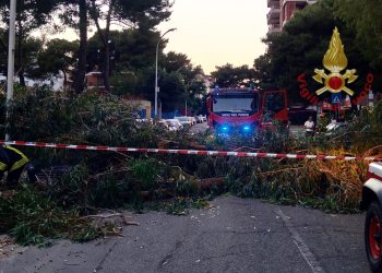 Paura a Cagliari, albero cade sopra due auto: una donna ferita