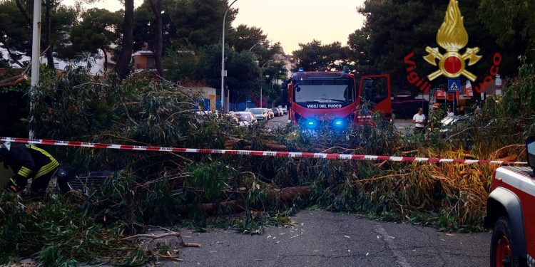 Paura a Cagliari, albero cade sopra due auto: una donna ferita