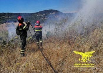 Fiamme in Sardegna, incendi a Villacidro e Arzachena