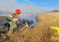 intensificati i servizi di prevenzione del Corpo Forestale della Regione Sardegna