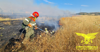 intensificati i servizi di prevenzione del Corpo Forestale della Regione Sardegna