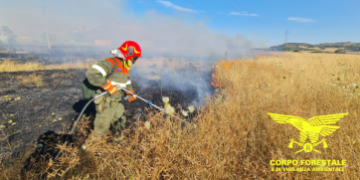 intensificati i servizi di prevenzione del Corpo Forestale della Regione Sardegna