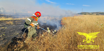 intensificati i servizi di prevenzione del Corpo Forestale della Regione Sardegna
