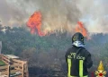 Incendio di sterpaglie a Olbia, minacciate alcune abitazioni