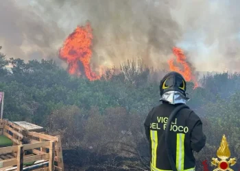 Incendio di sterpaglie a Olbia, minacciate alcune abitazioni