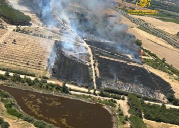 Fiamme a Olmedo, in azione l’elicottero del Corpo Forestale