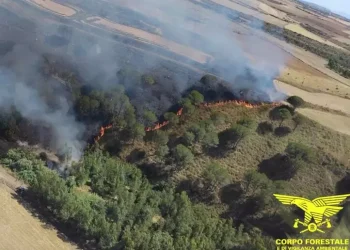 Arrestato un 78enne per incendio doloso nel Cagliaritano
