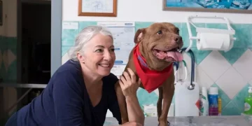 Morta Palla, cagnolina che aveva commosso il web dopo essere stata salvata