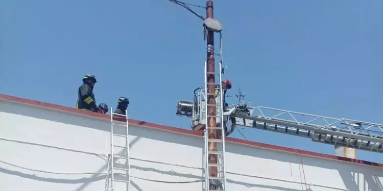 Operaio muore folgorato mentre lavora ad impianto per la fibra