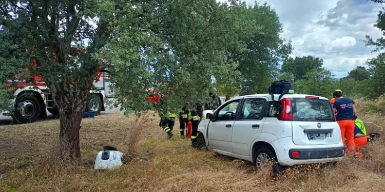 Tragedia nel Goceano: con l’auto contro un albero, muore ottantenne