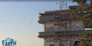 Fauna Protetta nel Cantiere ex Marino. Earth Odv diffida Regione e Comune: “Stop immediato ai lavori “