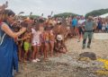 Tortoli – Arbatax, restituita alla vita nel mare una Caretta caretta
