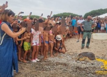 Tortoli – Arbatax, restituita alla vita nel mare una Caretta caretta