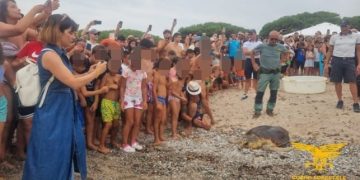 Tortoli – Arbatax, restituita alla vita nel mare una Caretta caretta