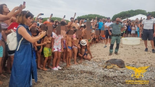 Tortoli – Arbatax, restituita alla vita nel mare una Caretta caretta