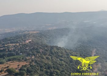 Ripartito nella notte l’incendio a Luras, inviato un elicottero