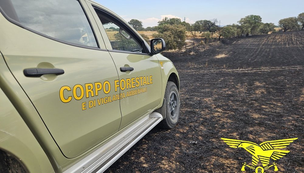 Fiamme a Noragugume, sul posto l’elicottero del Corpo Forestale