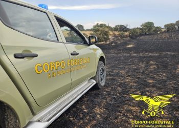 Fiamme a Noragugume, sul posto l’elicottero del Corpo Forestale
