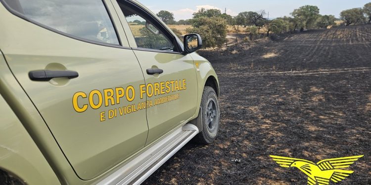 Fiamme a Noragugume, sul posto l’elicottero del Corpo Forestale
