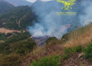 Fiamme a Goni, in azione un elicottero
