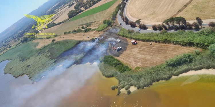 Incendio a Sorso, le fiamme nello stagno di Platamona