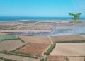Fiamme a Lotzorai e Cabras, in azione mezzi aerei sugli incendi