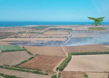 Fiamme a Lotzorai e Cabras, in azione mezzi aerei sugli incendi