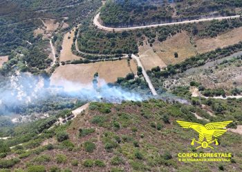Vasto incendio a Escalaplano: due elicotteri sul posto