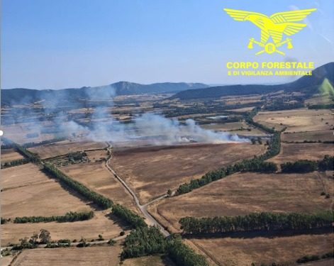 Vasto incendio a Carbonia, in azione elicotteri e un canadair: Guarda il video