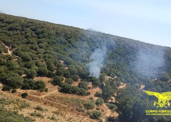 Incendio a Oliena, sul posto l’elicottero del Corpo Forestale