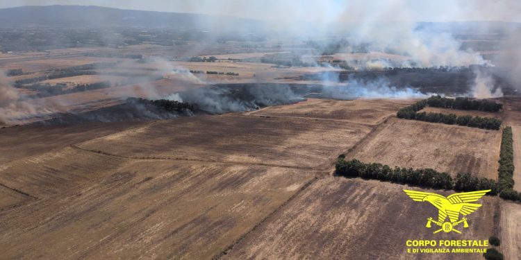 Vento e caldo, incendio a Guspini: presente l’elicottero della Forestale