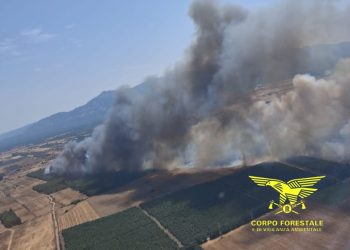 Inferno di fuoco in Sardegna, 7 vasti incendi nell’isola