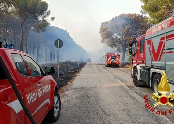 Fiamme a Serramanna, l’incendio alimentato dal caldo e dal vento: in azione un elicottero