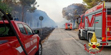 Fiamme a Serramanna, l’incendio alimentato dal caldo e dal vento: in azione un elicottero