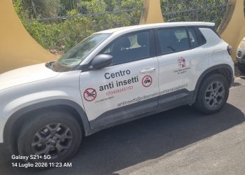Perd’e Sali: sventato il pericolo in un’abitazione. Recuperate e messe in salvo 20.000 api
