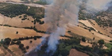 Inferno di fuoco in Sardegna, incendi a Narcao e Bono