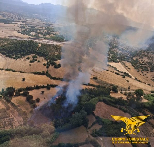 Inferno di fuoco in Sardegna, incendi a Narcao e Bono