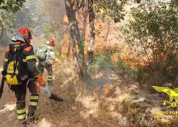 La Sardegna continua a bruciare, fiamme a Usellus e San Nicolò d’Arcidano