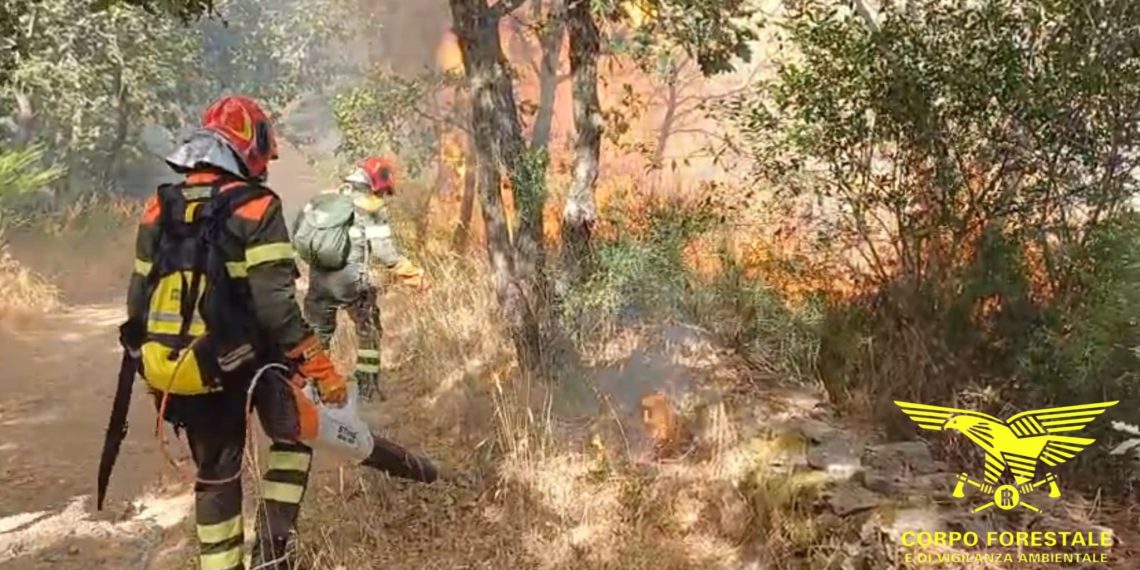Fiamme a Bottidda, in azione due elicotteri