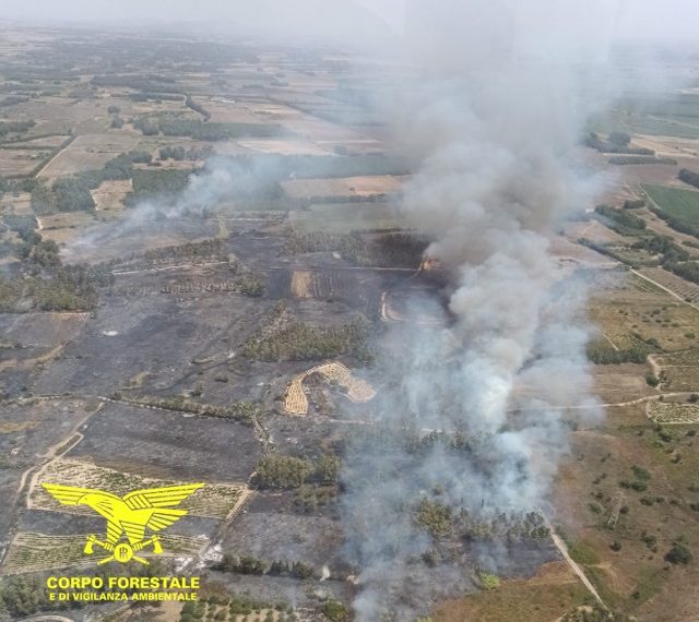 La Sardegna in cenere, vasti incendi in tutta l’isola, in campo i mezzi aerei antincendio