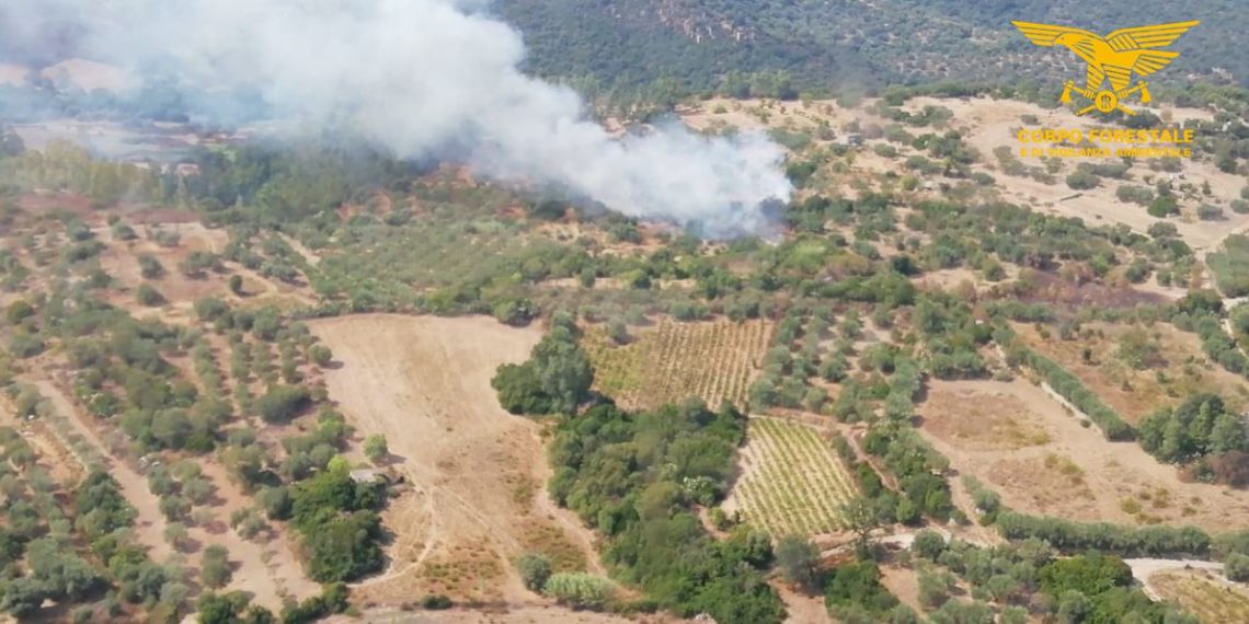 Fiamme a Villagrande Strisaili, sul posto anche un elicottero