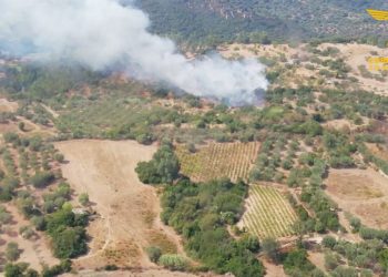 Fiamme a Villagrande Strisaili, sul posto anche un elicottero