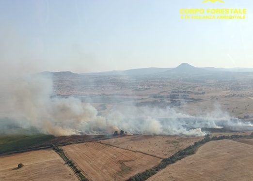 Incendio a Ozieri, elicotteri e canadair sul posto