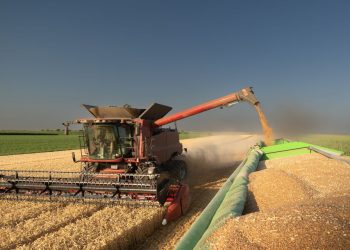 Ciclone Harry: dal 10 luglio al via sul portale Agea/Sian la manifestazione di interesse per i danni alle strutture aziendali agricole