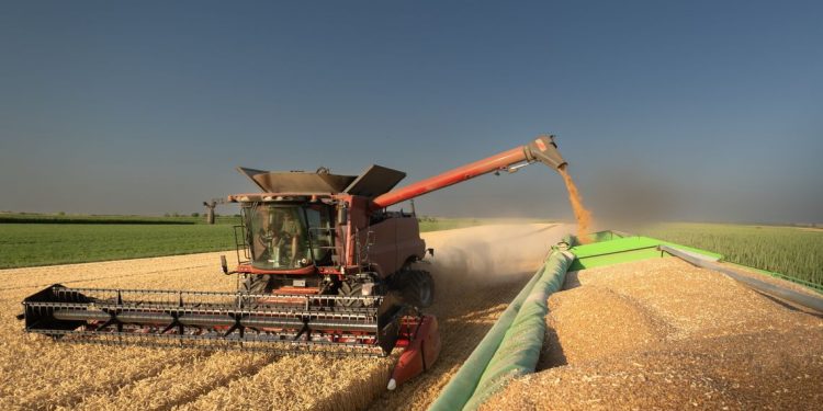Ciclone Harry: dal 10 luglio al via sul portale Agea/Sian la manifestazione di interesse per i danni alle strutture aziendali agricole