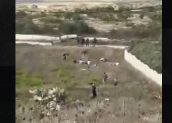 Coloni israeliani chiamati “escursionisti”, scoppia la polemica dopo un servizio dei Tg Rai
