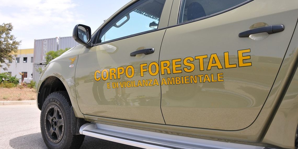 Corpo forestale, la Giunta regionale rassicura: “Criticità note, interventi già in corso per rafforzarlo”